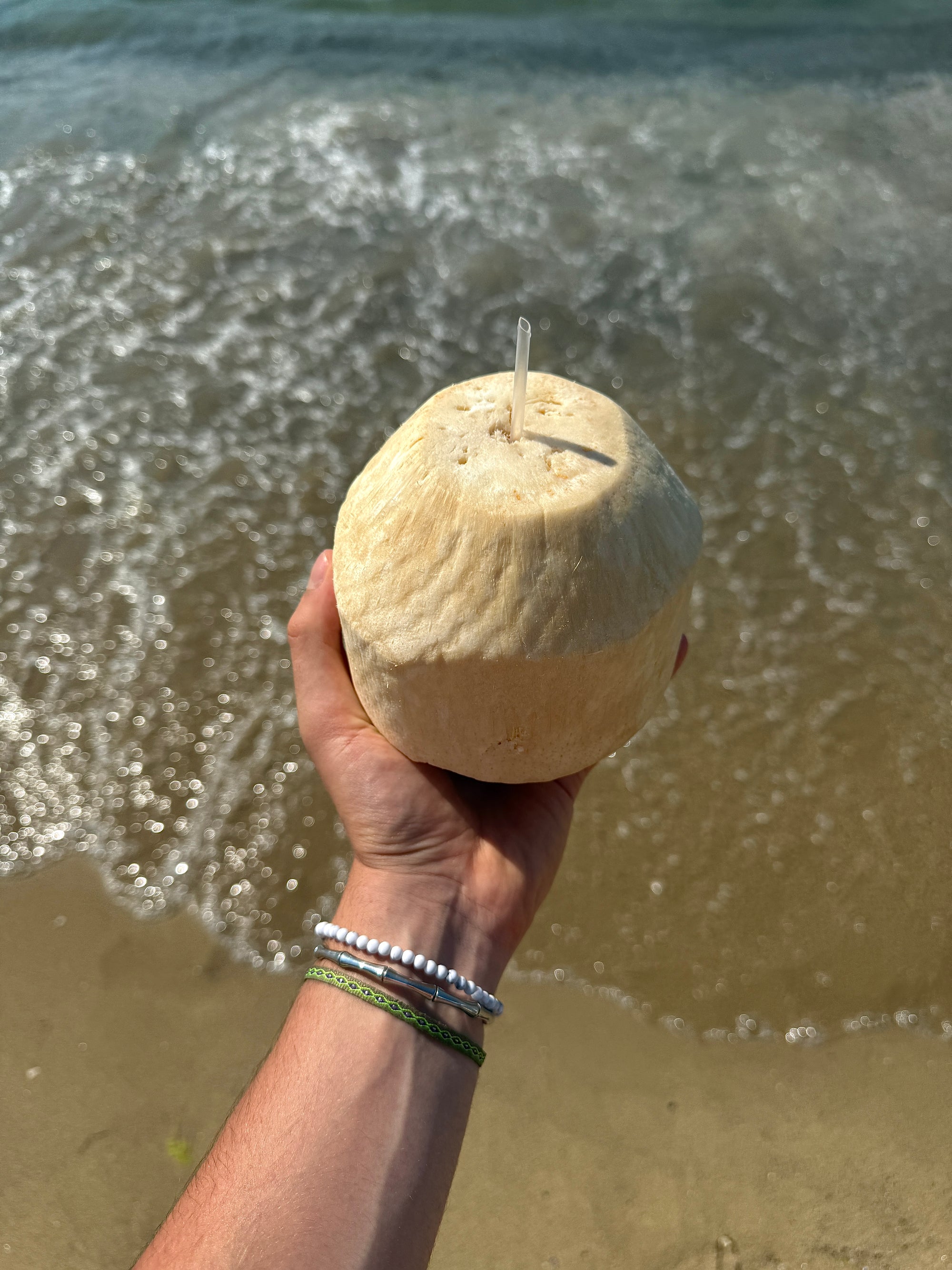 "Summer Paradise" Set - The Alligatora