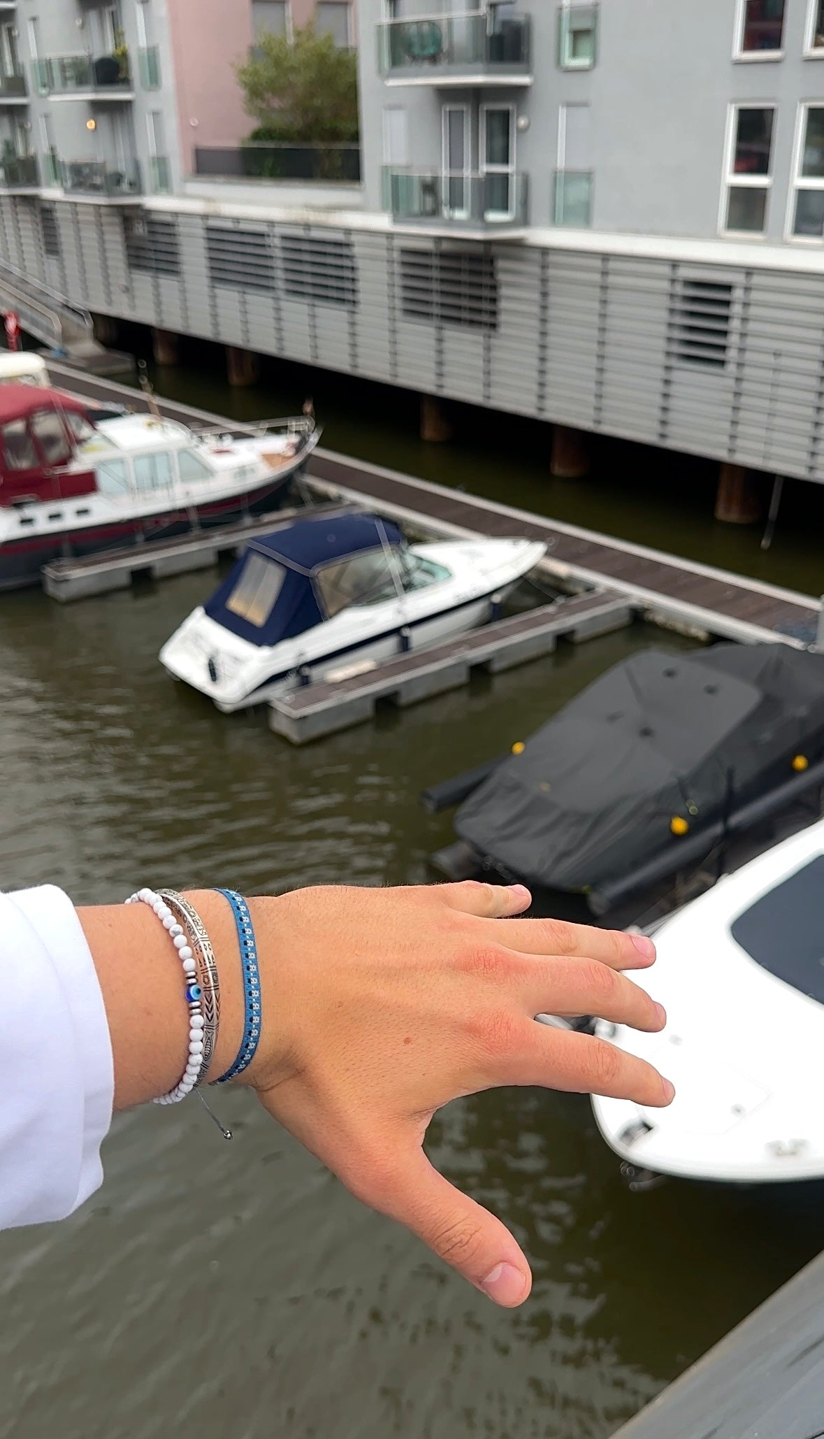 "Frozen Memoir" Set - The Alligatora