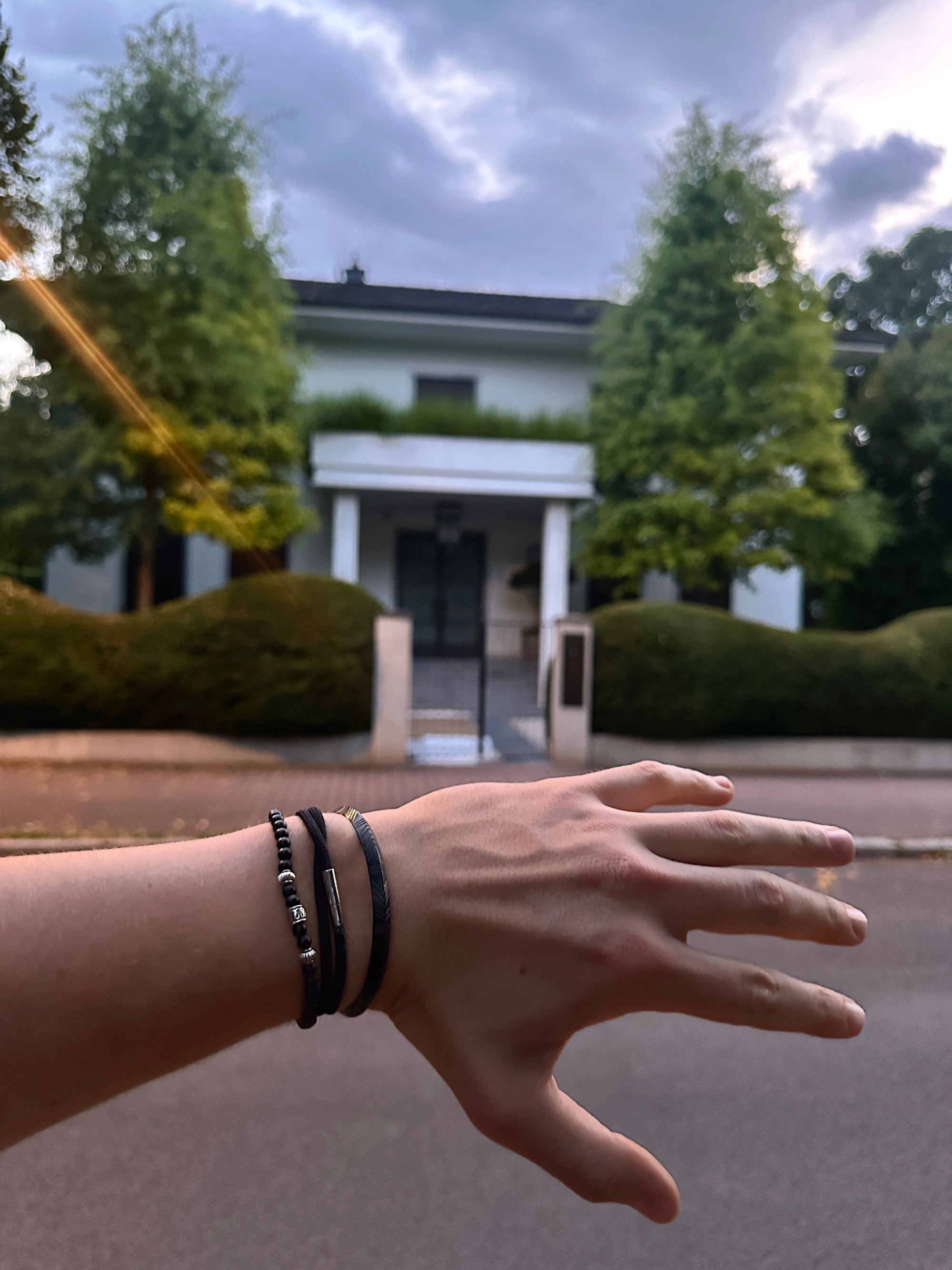 "Midnight Millionaire" Set - The Alligatora