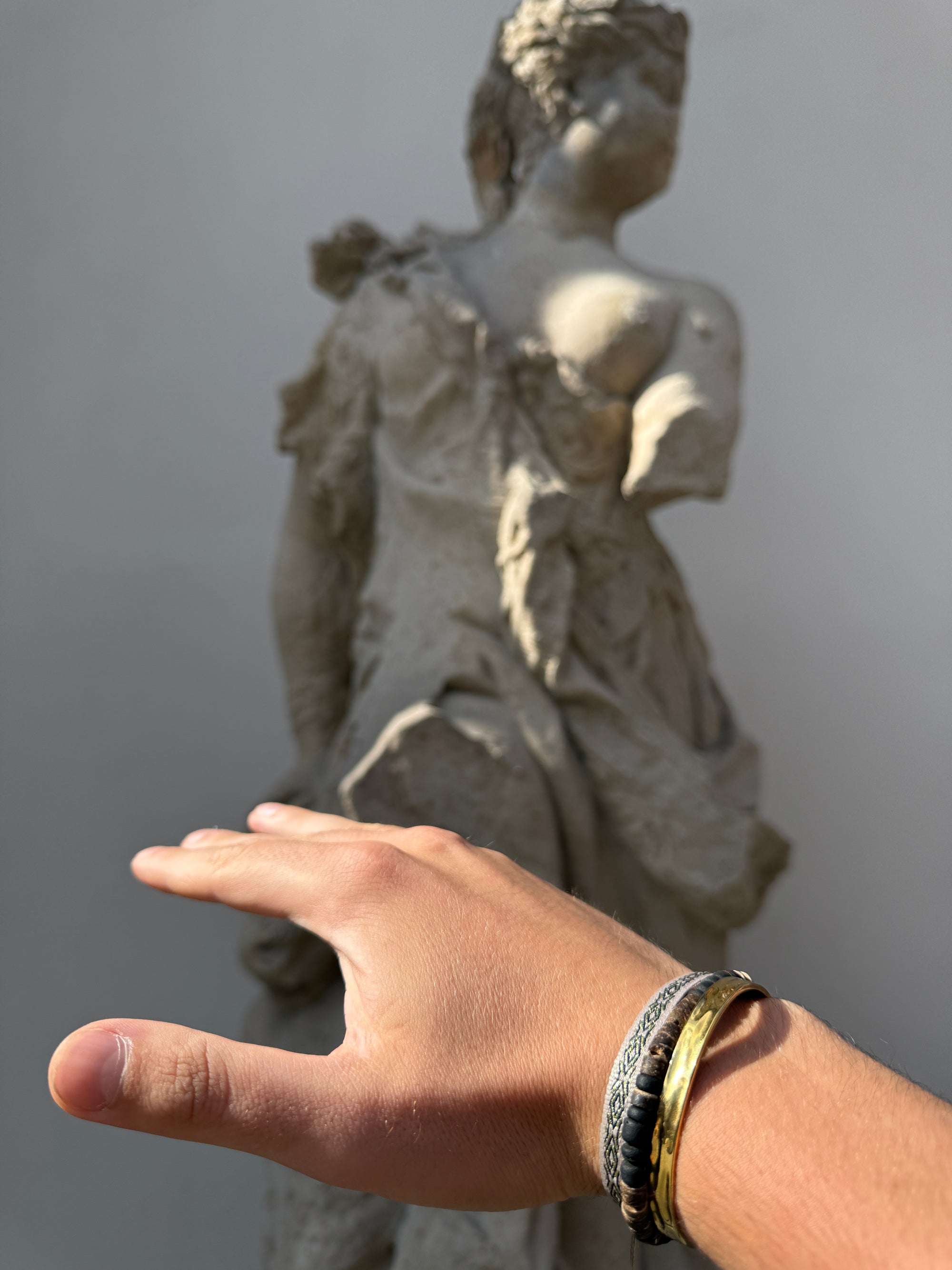 "Golden Momentum" Set - The Alligatora