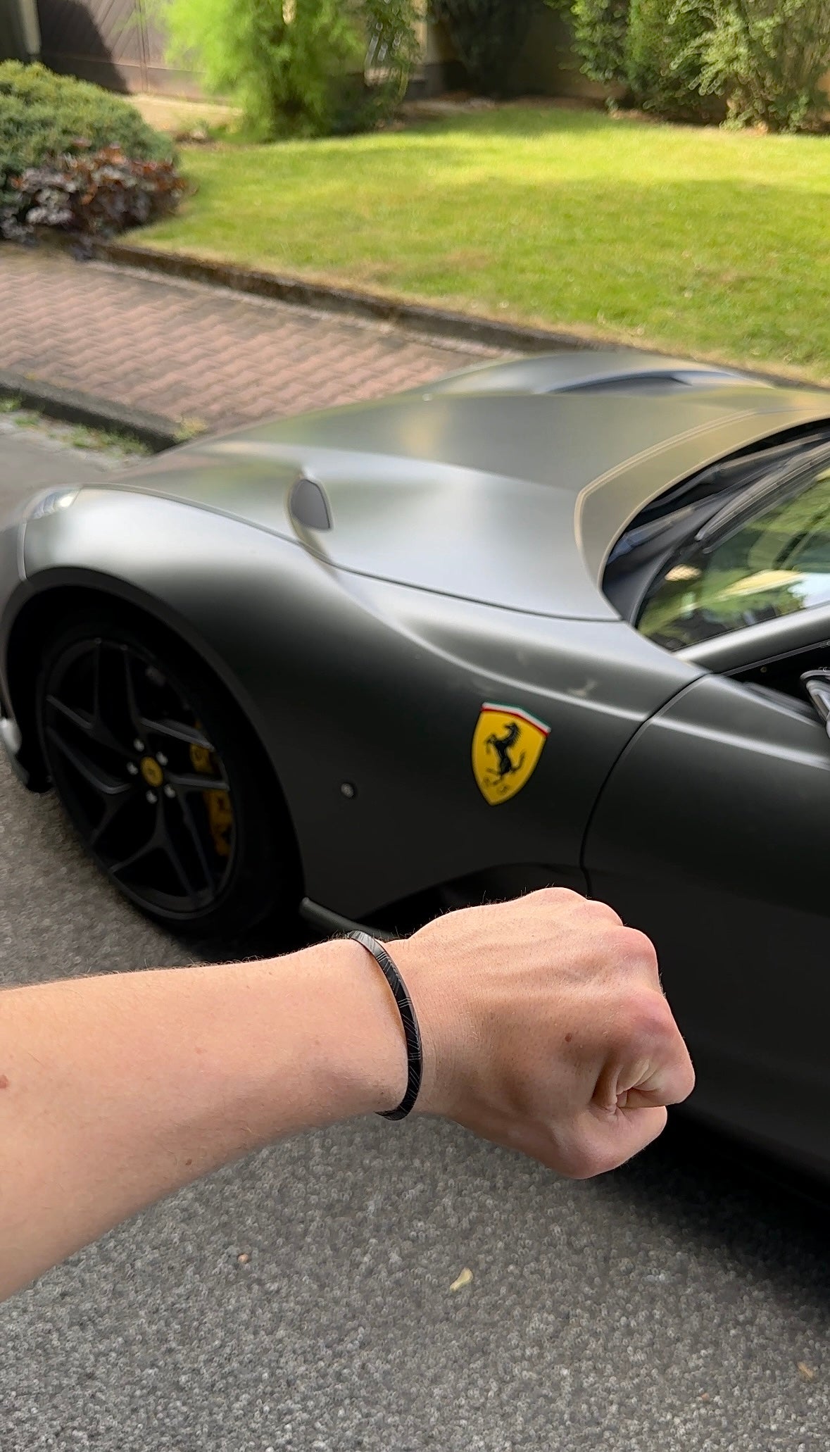 Noir - The Alligatora