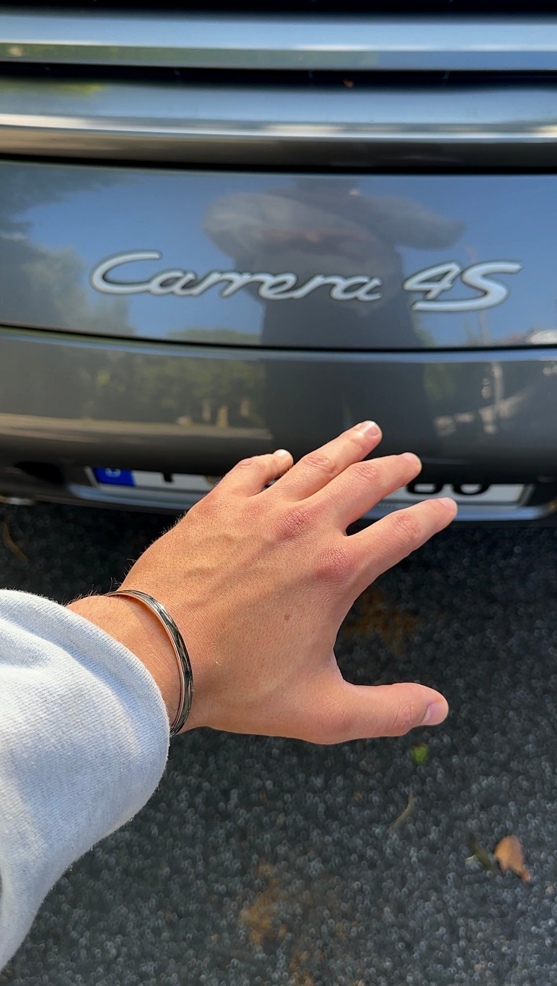 Gradient S - The Alligatora