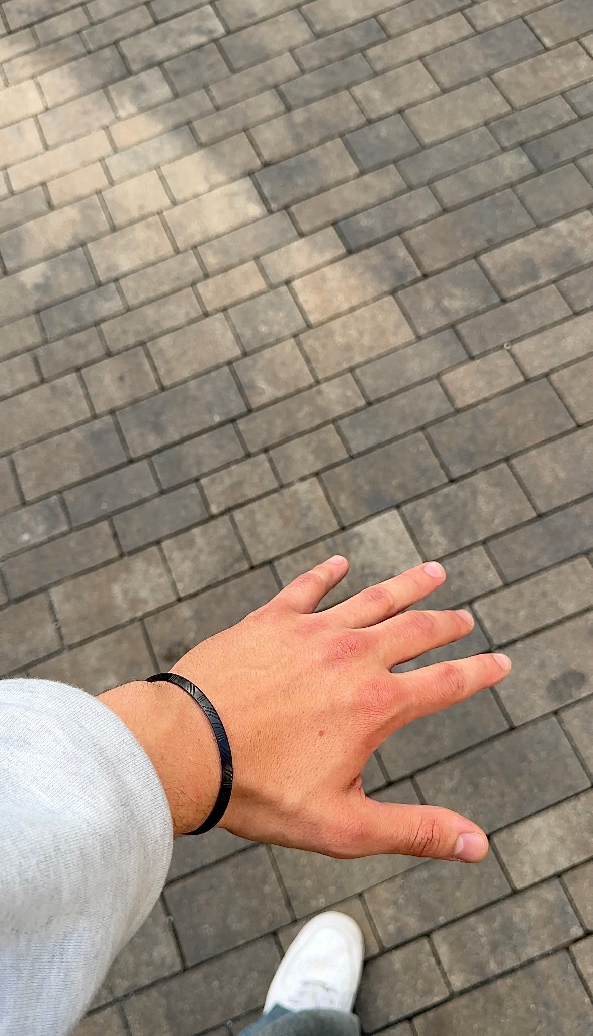 Noir - The Alligatora