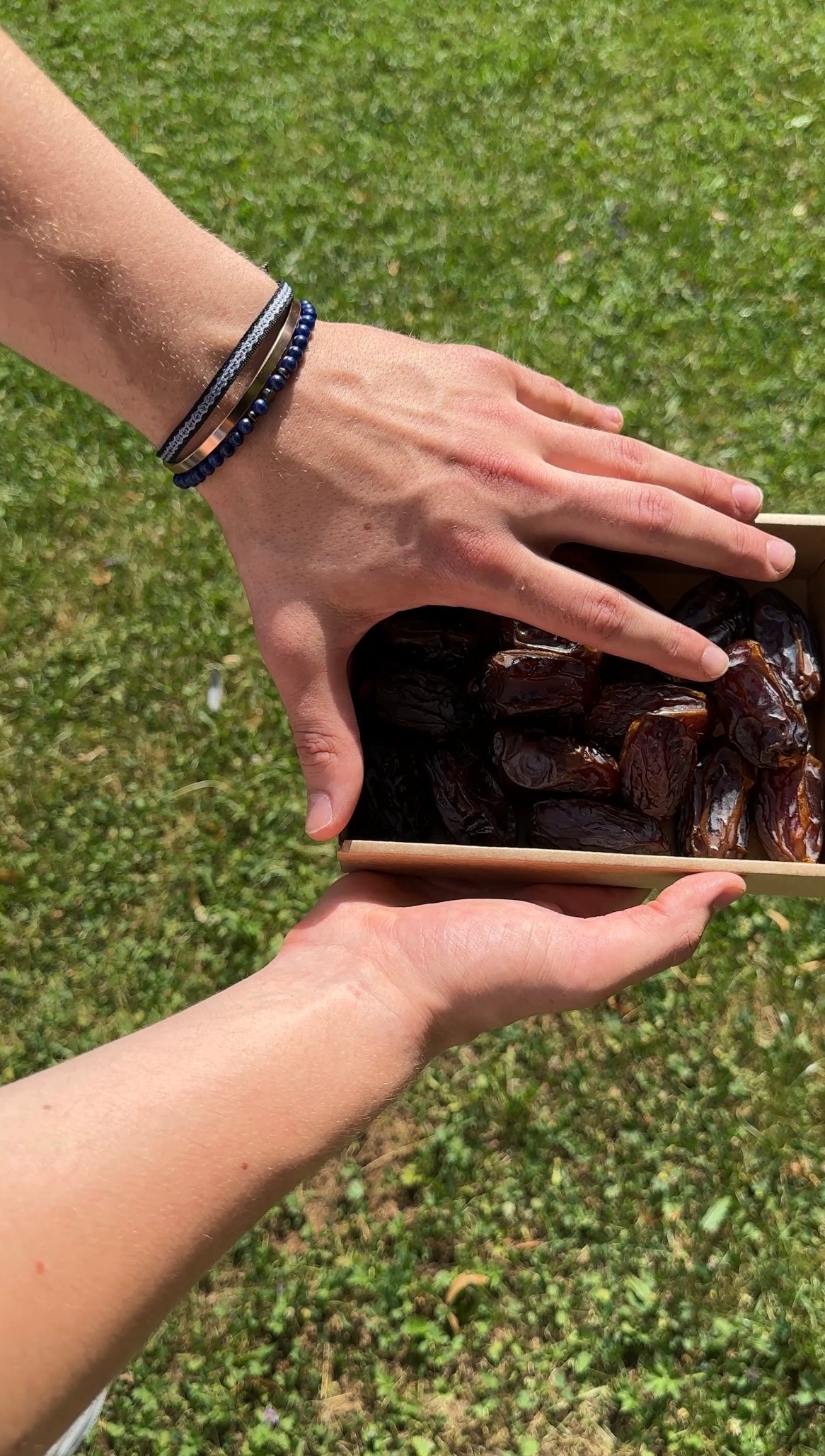 "God's Gift" Set - The Alligatora