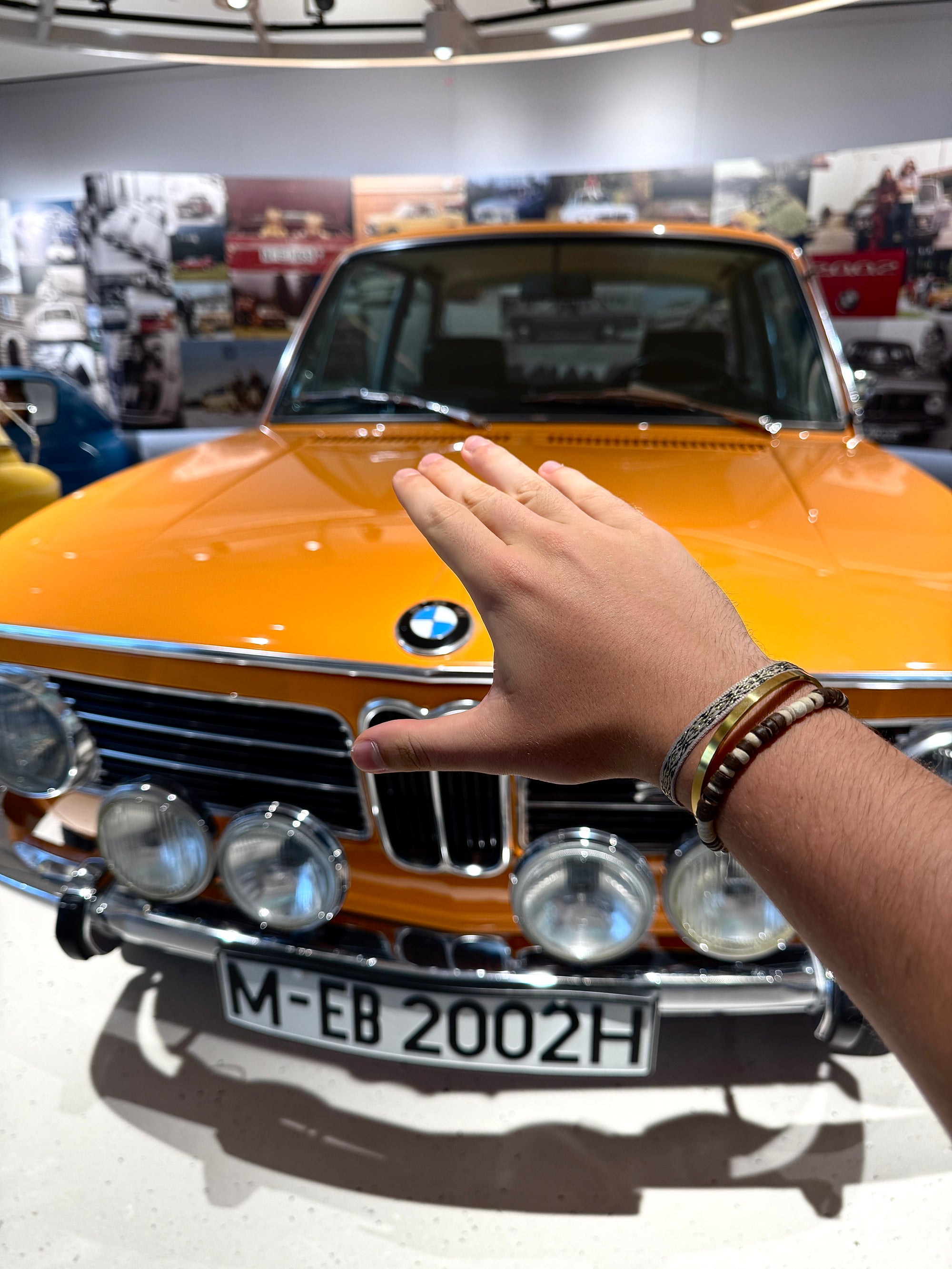 "The Rising Pharaoh" Set - The Alligatora