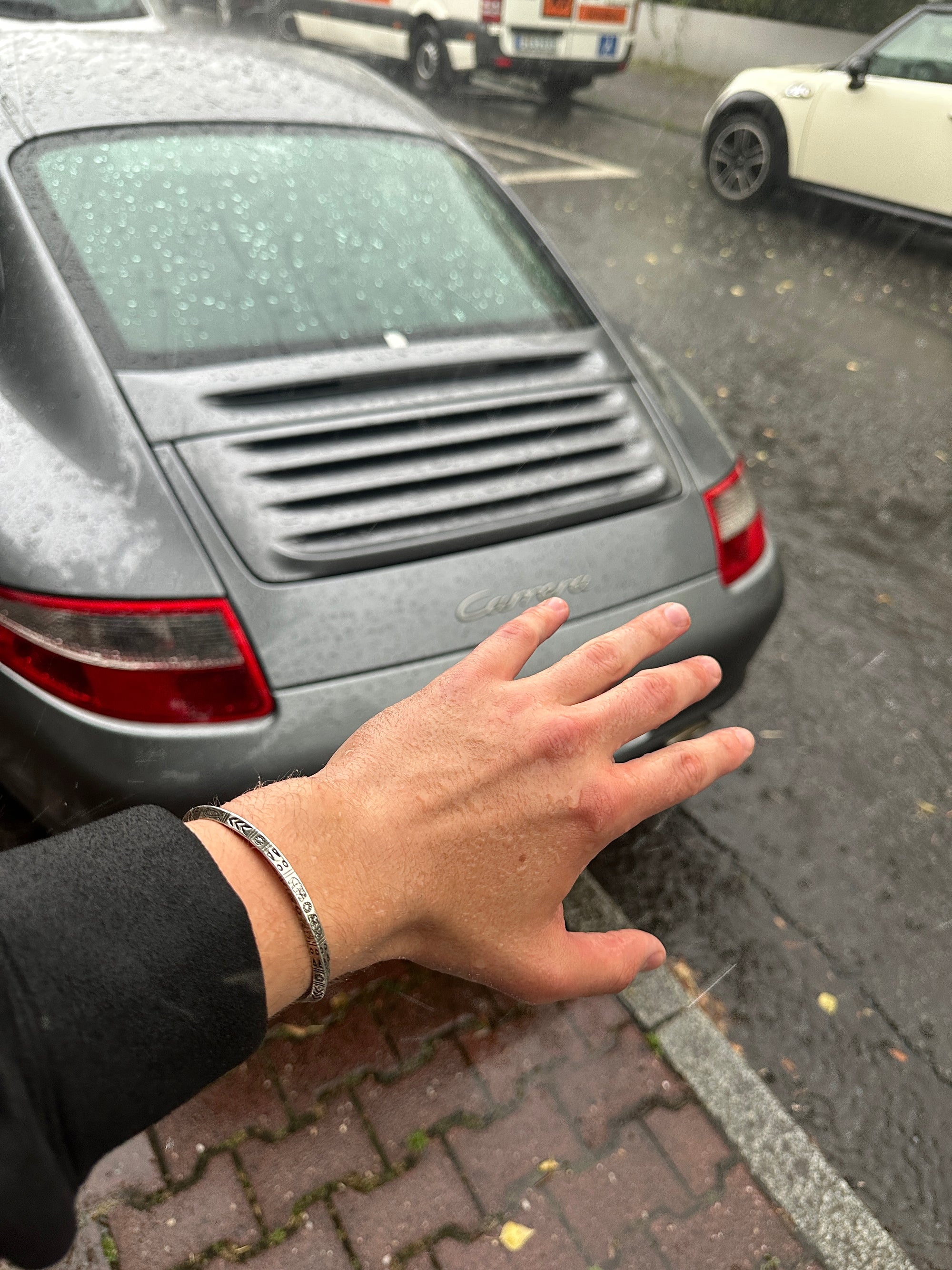 Pelagos - The Alligatora