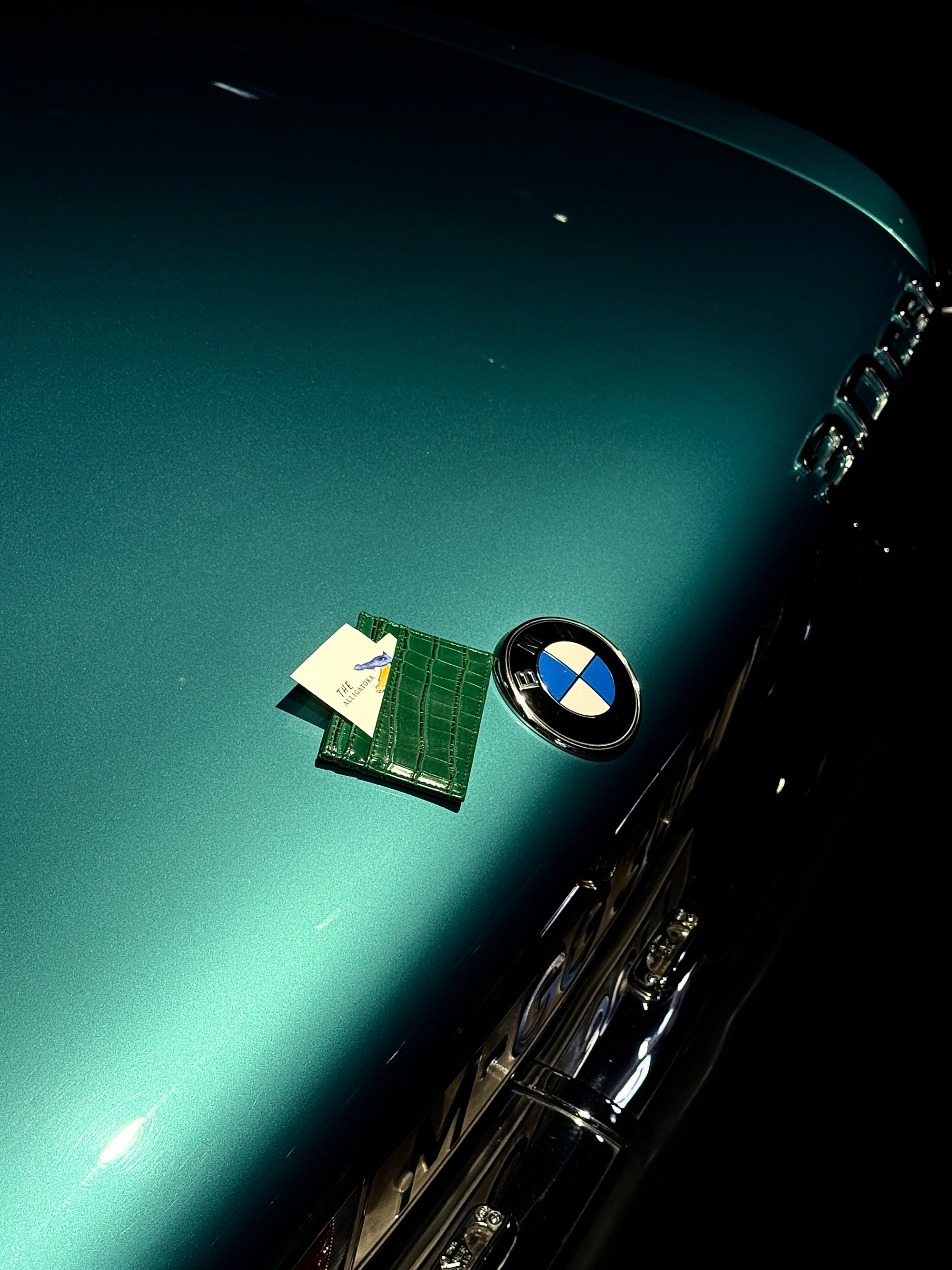 Wild Alligator Cardholder - The Alligatora