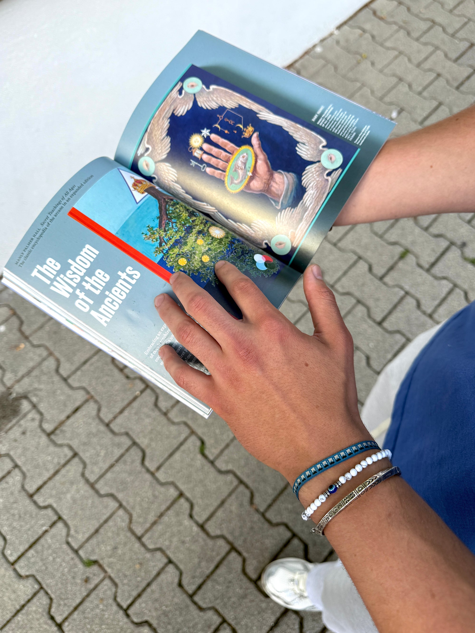 "Frozen Memoir" Set - The Alligatora