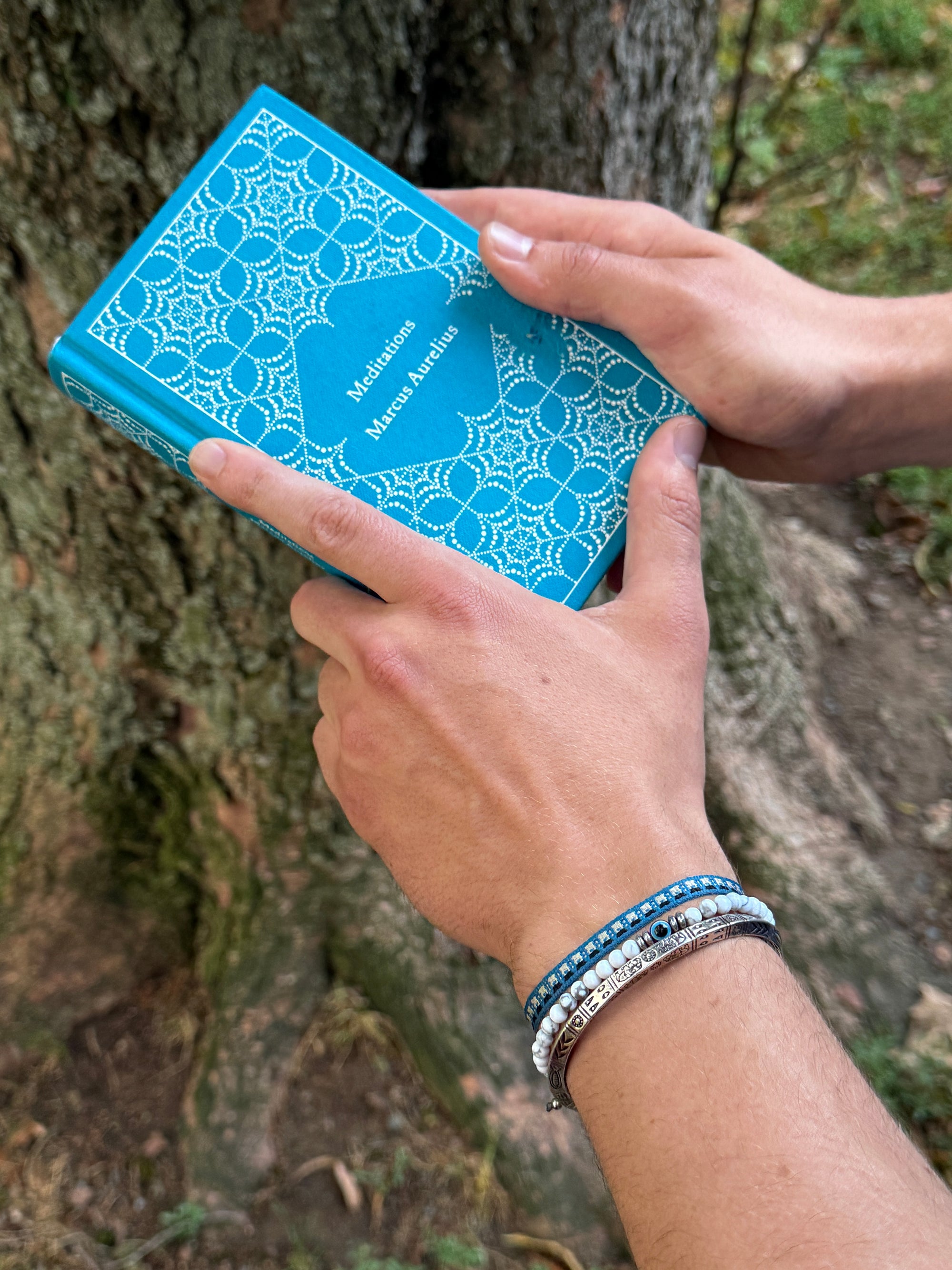 "Frozen Memoir" Set - The Alligatora