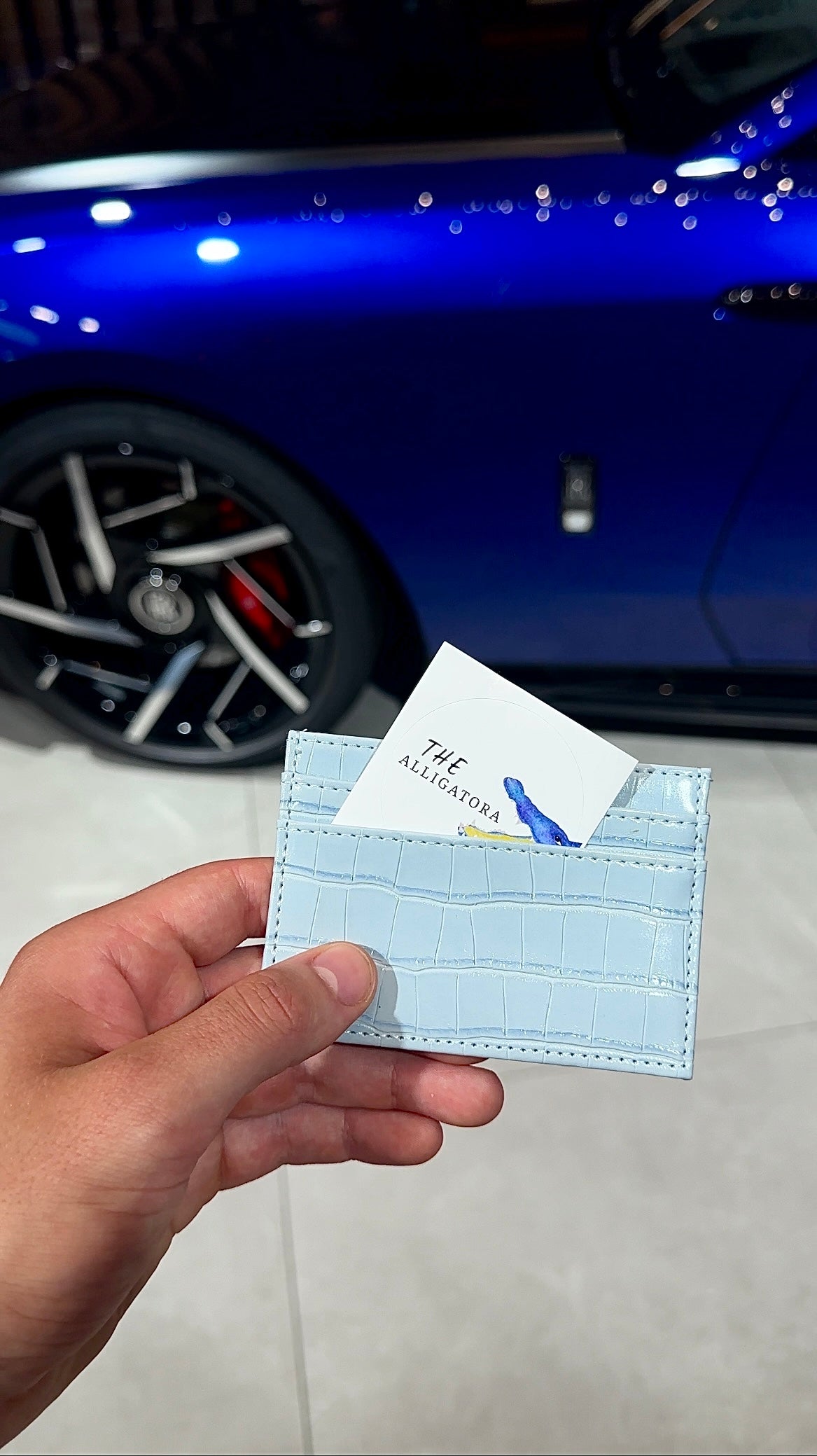 Alpine Sky Cardholder - The Alligatora