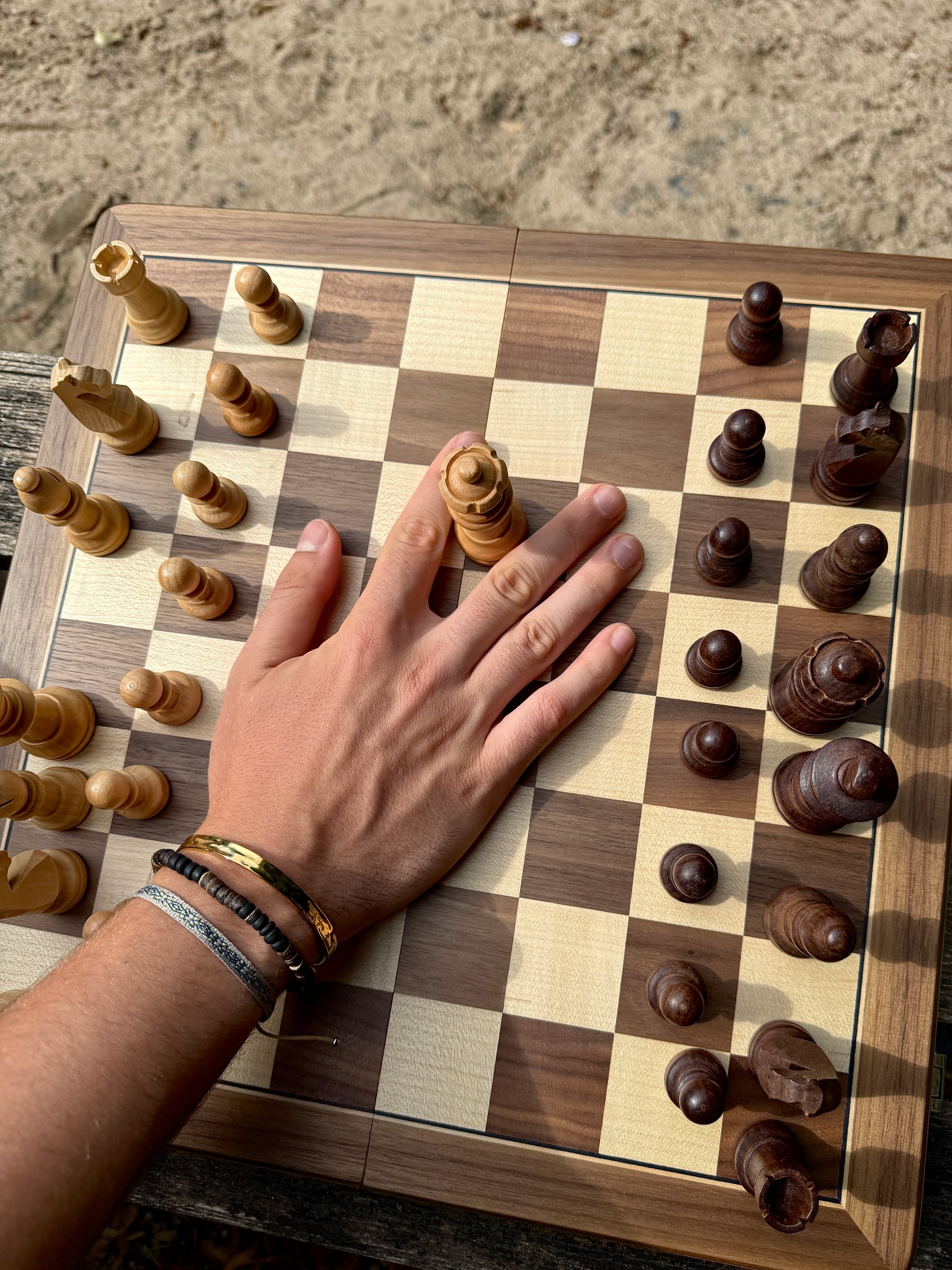 "Golden Momentum" Set - The Alligatora