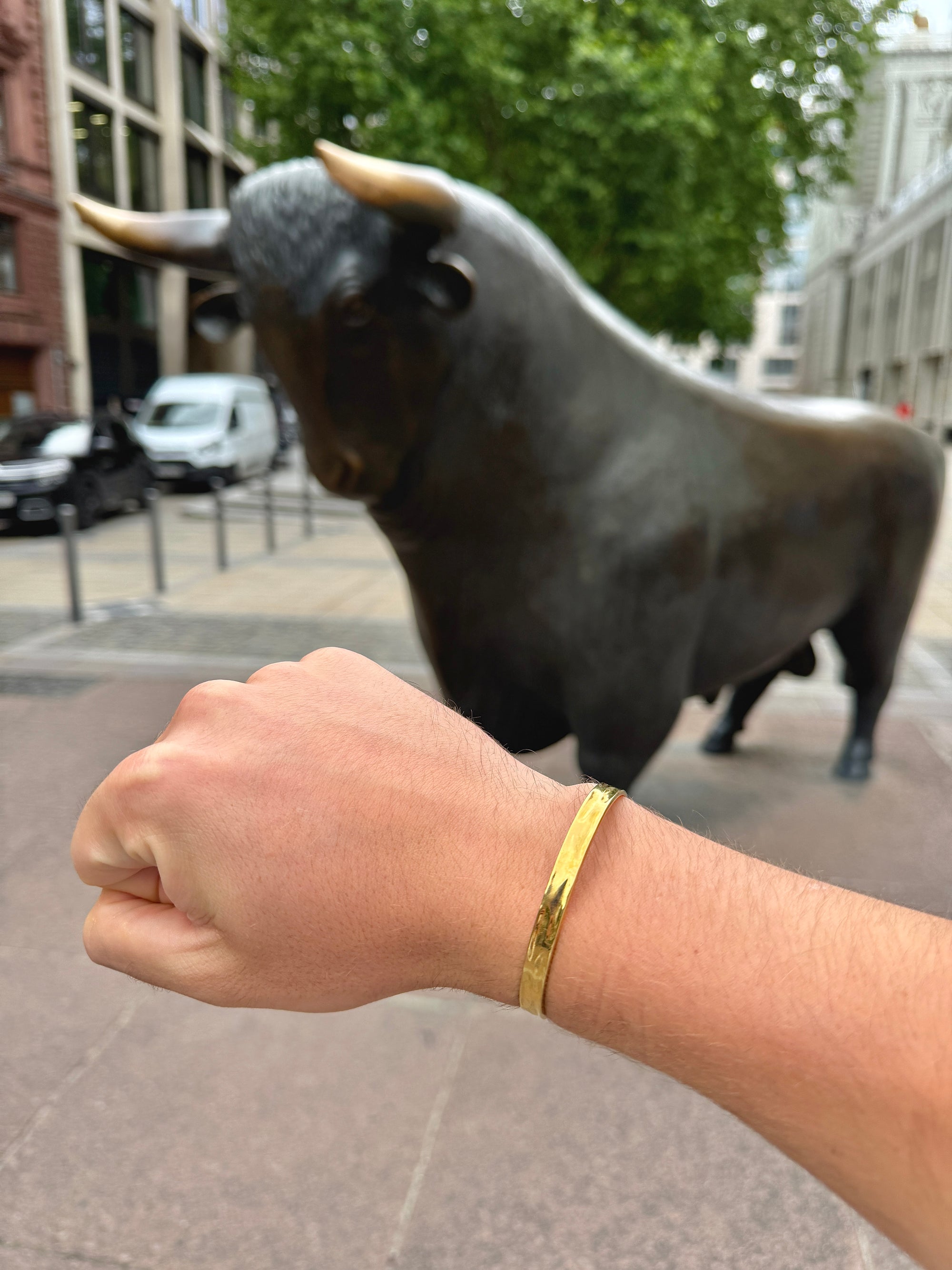 Gradient G - The Alligatora