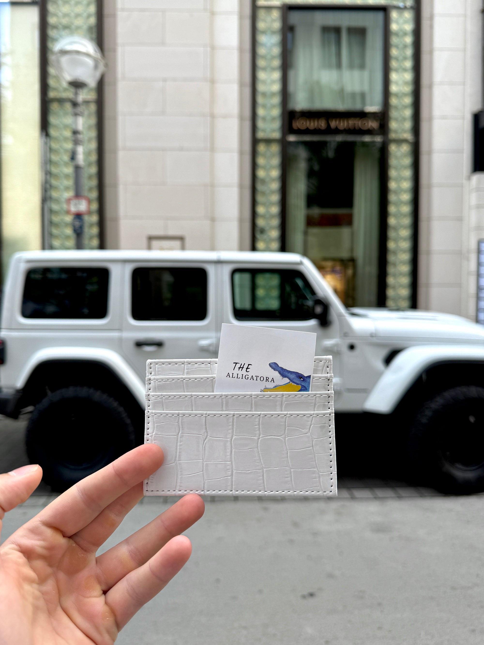 Salted Luxury Cardholder - The Alligatora