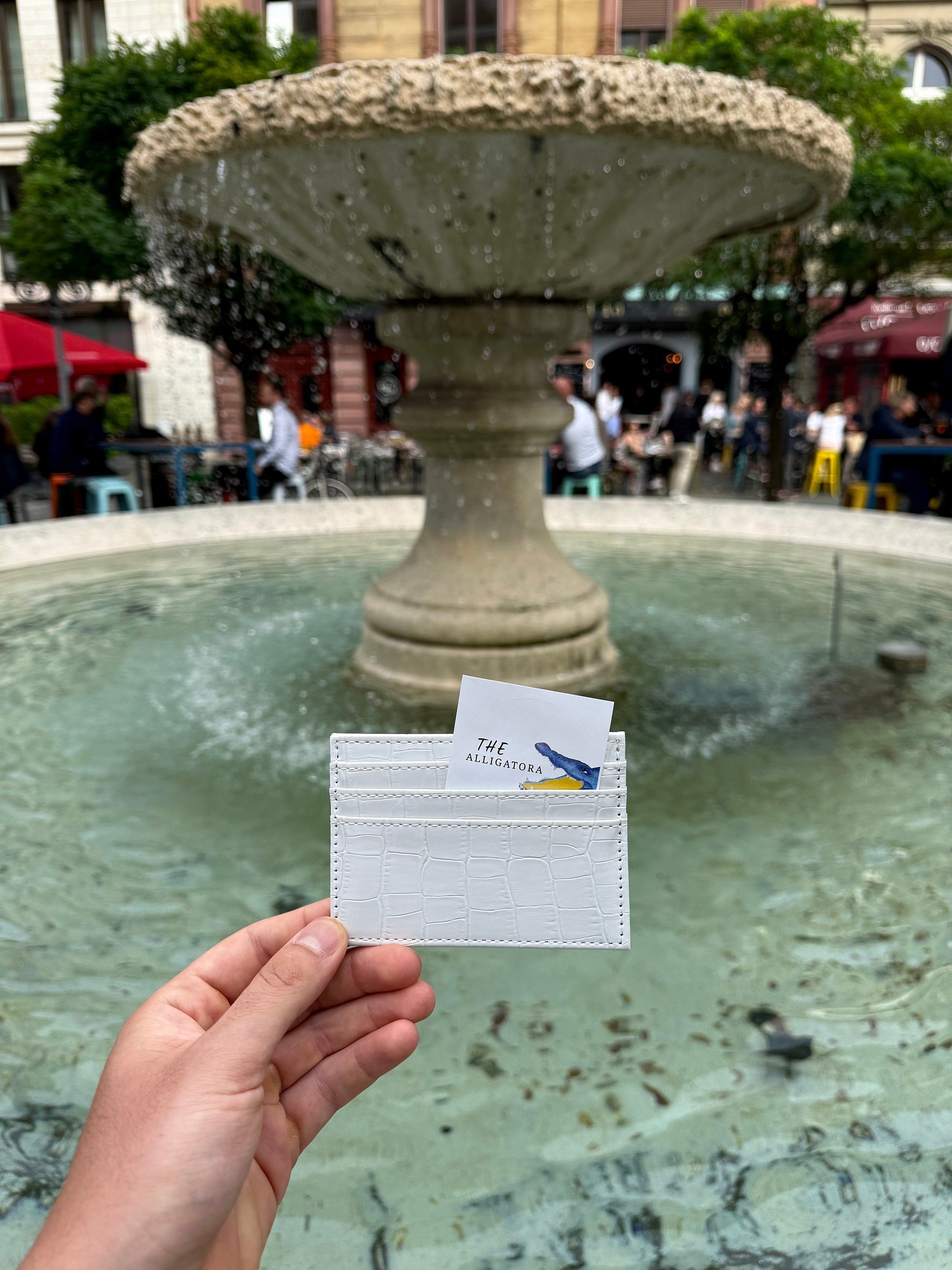 Salted Luxury Cardholder - The Alligatora