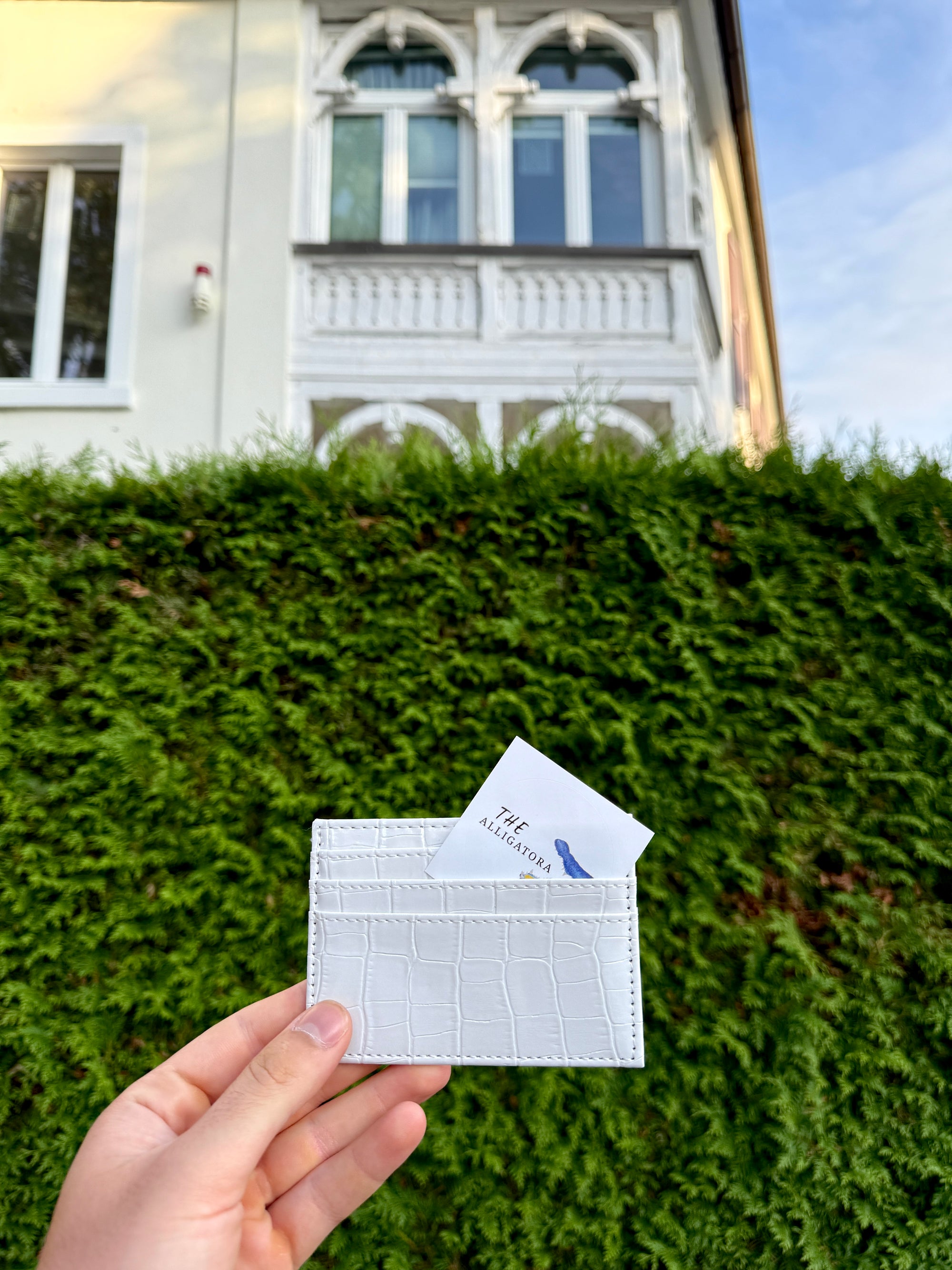 Salted Luxury Cardholder - The Alligatora