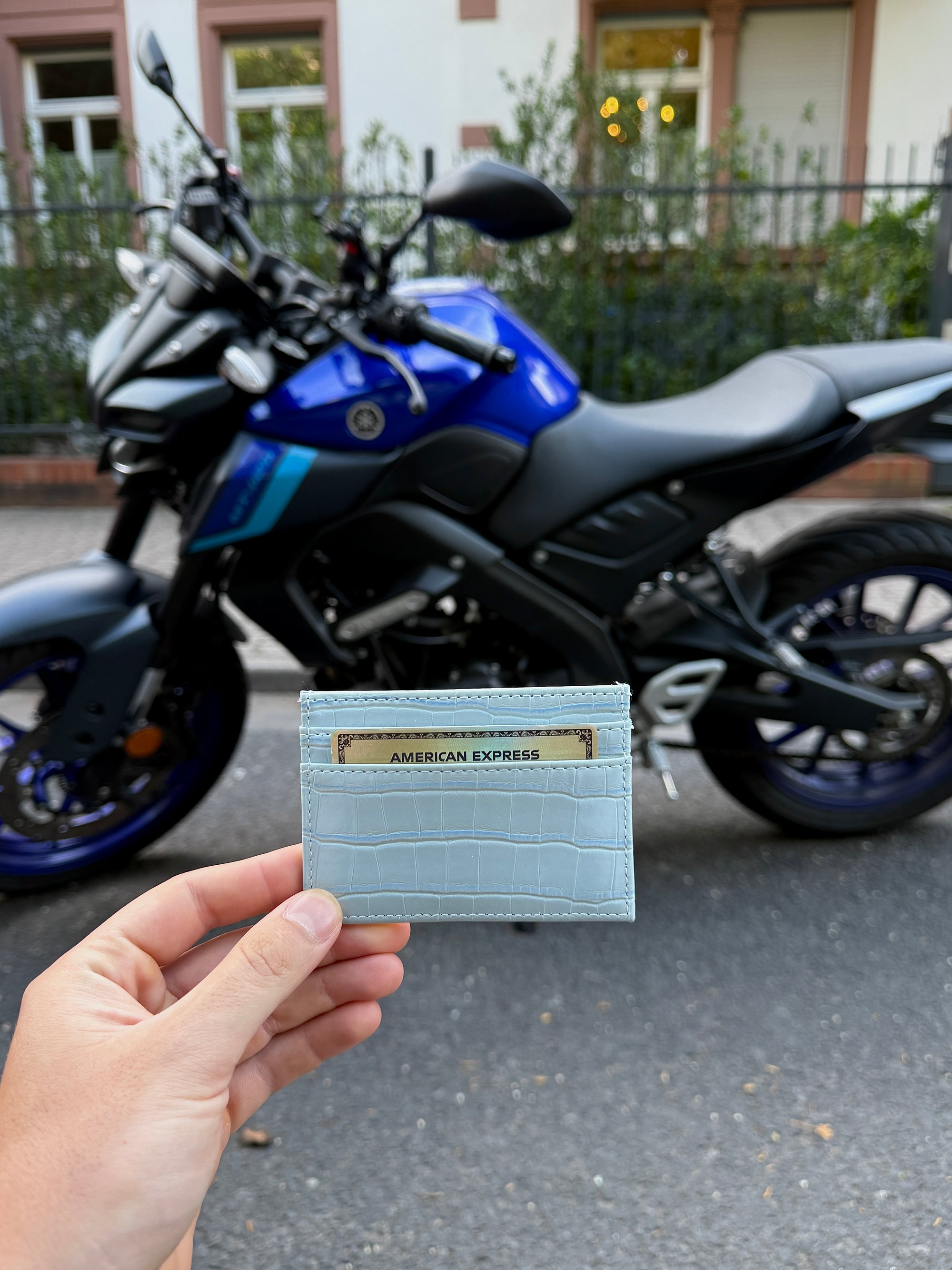 Alpine Sky Cardholder - The Alligatora