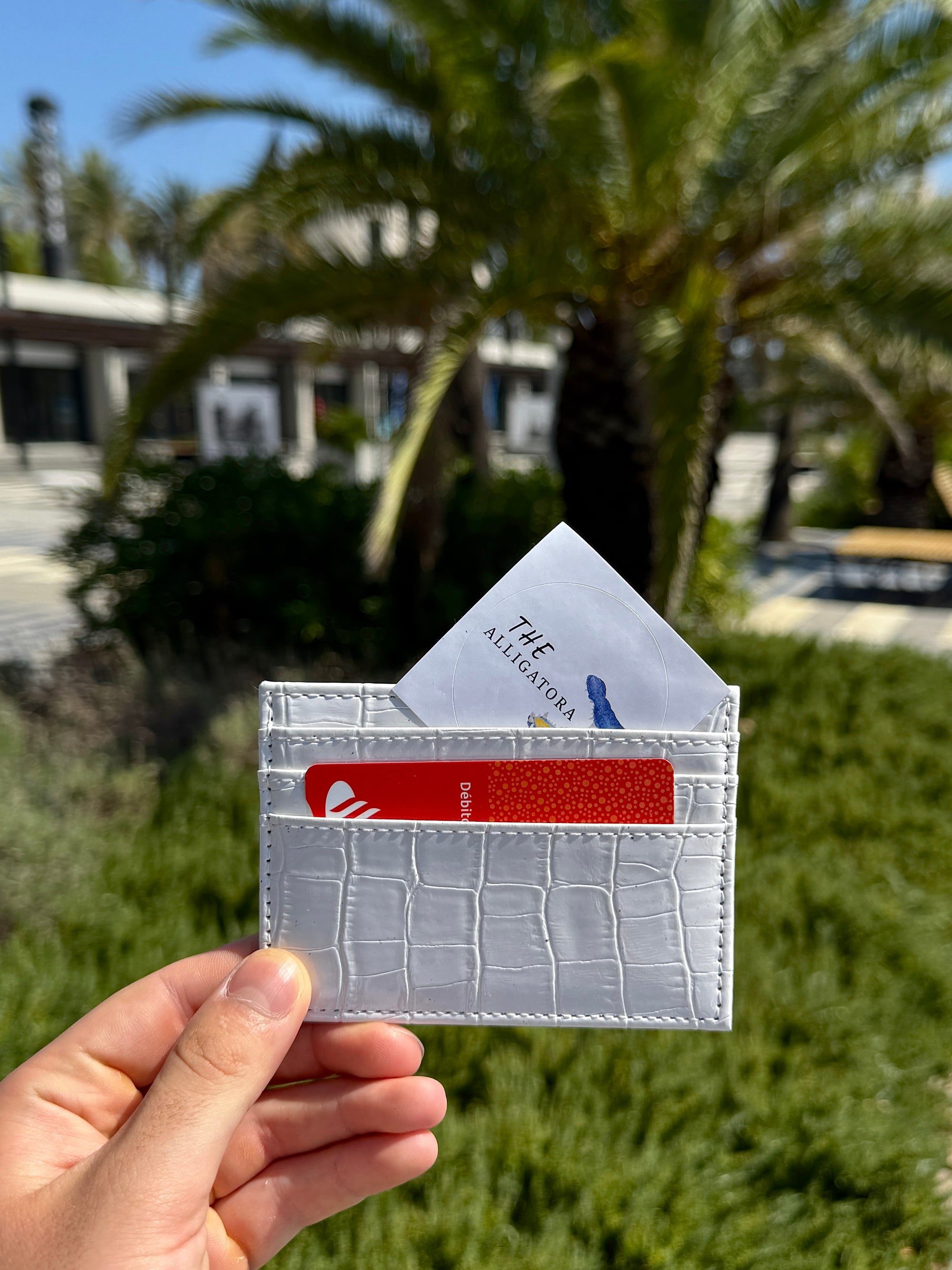 Salted Luxury Cardholder - The Alligatora