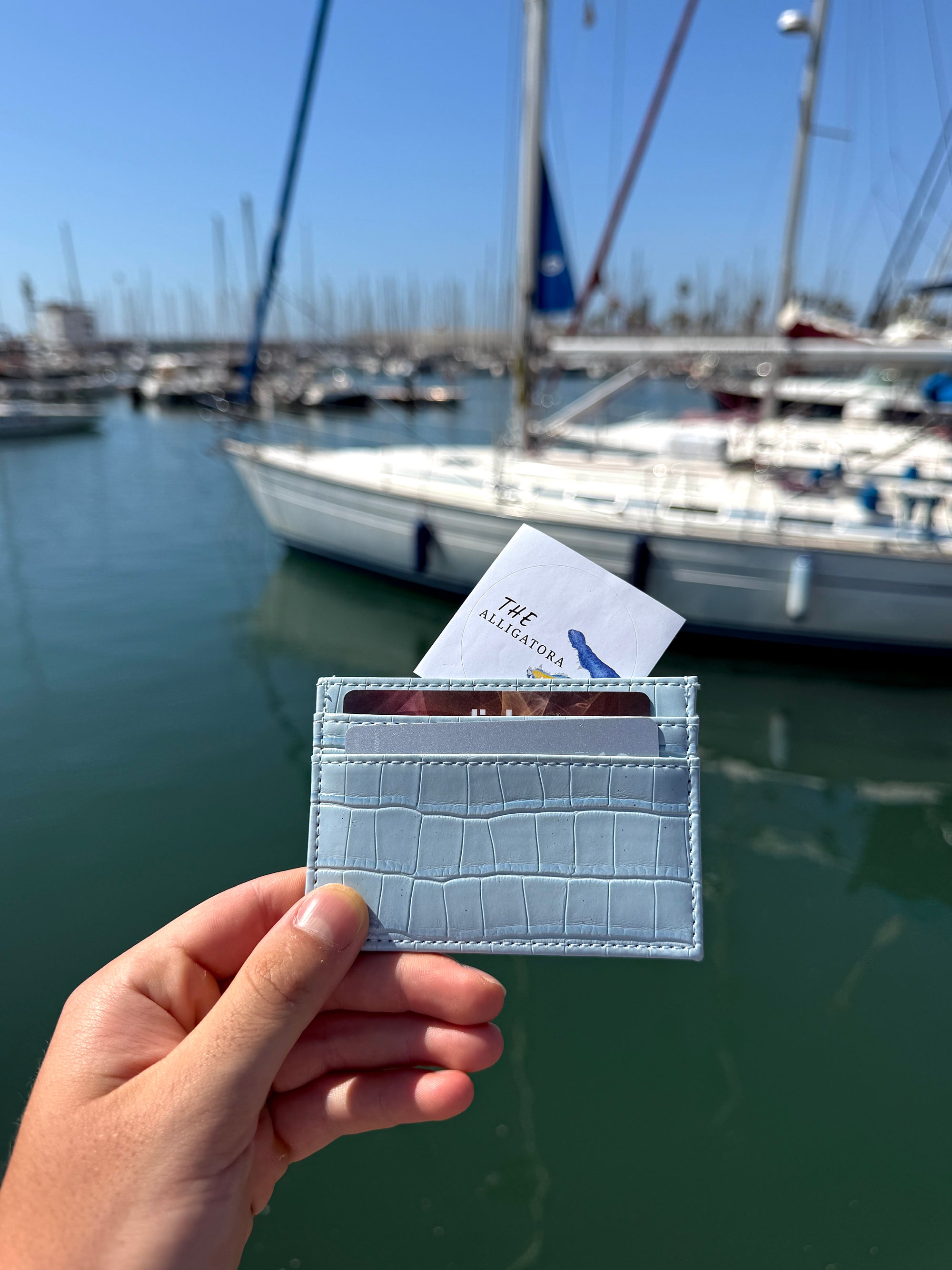 Alpine Sky Cardholder - The Alligatora