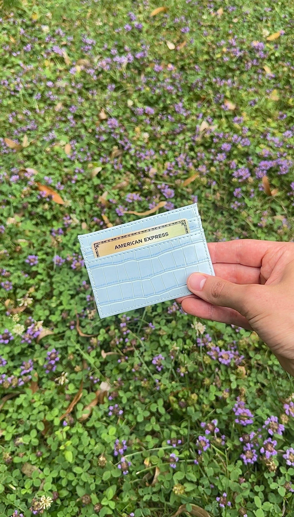 Alpine Sky Cardholder - The Alligatora