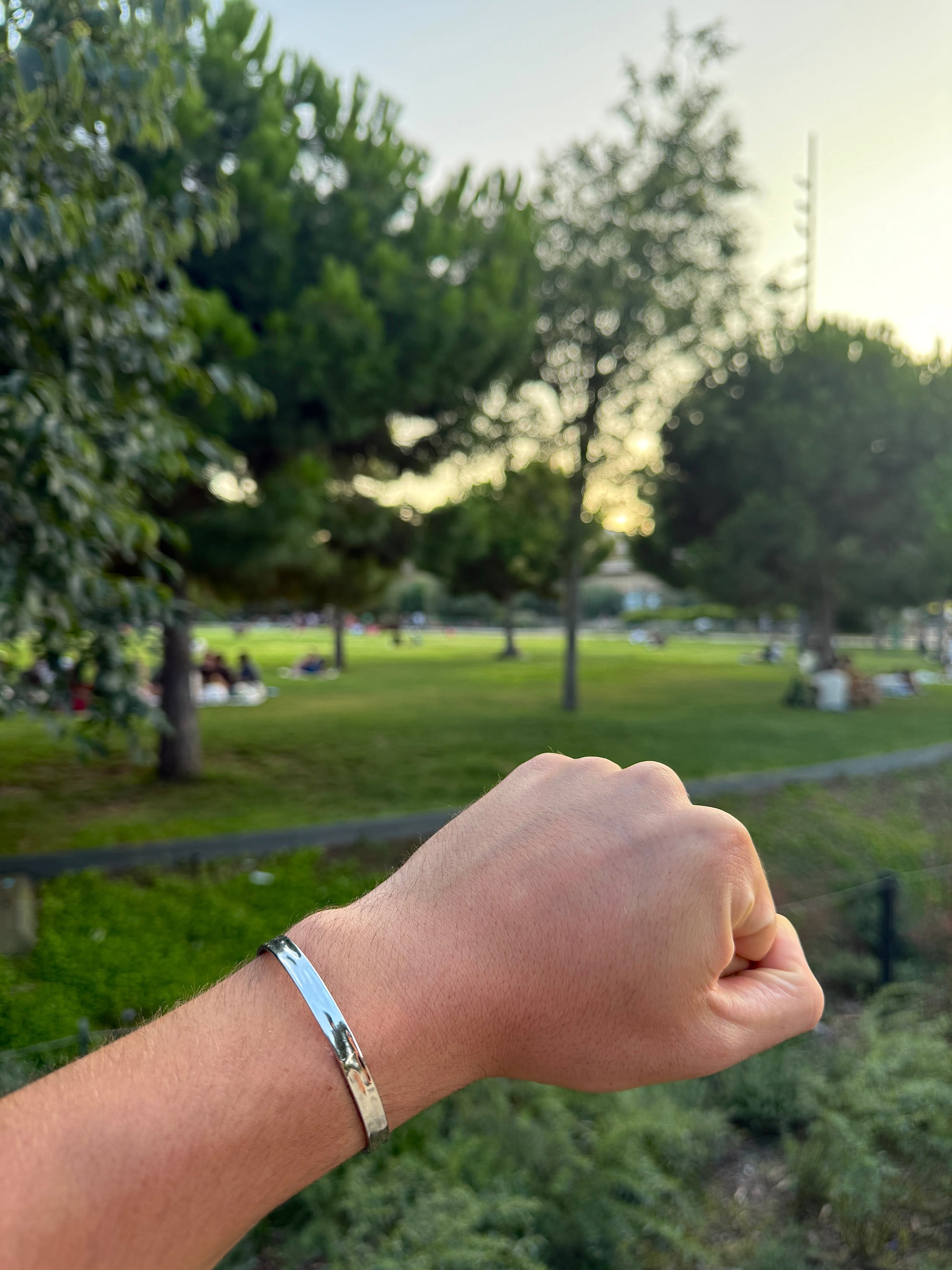 Gradient S - The Alligatora