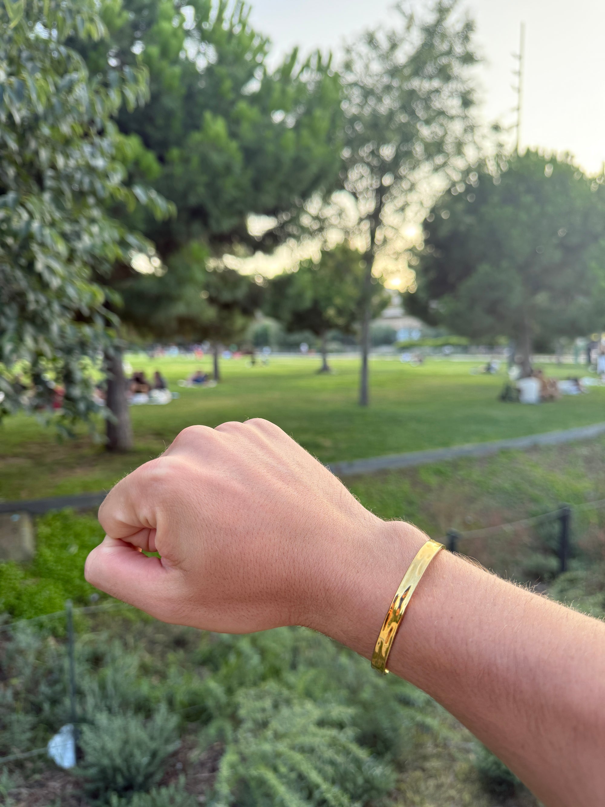 Gradient G - The Alligatora